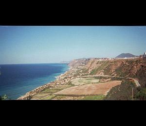 oran 059